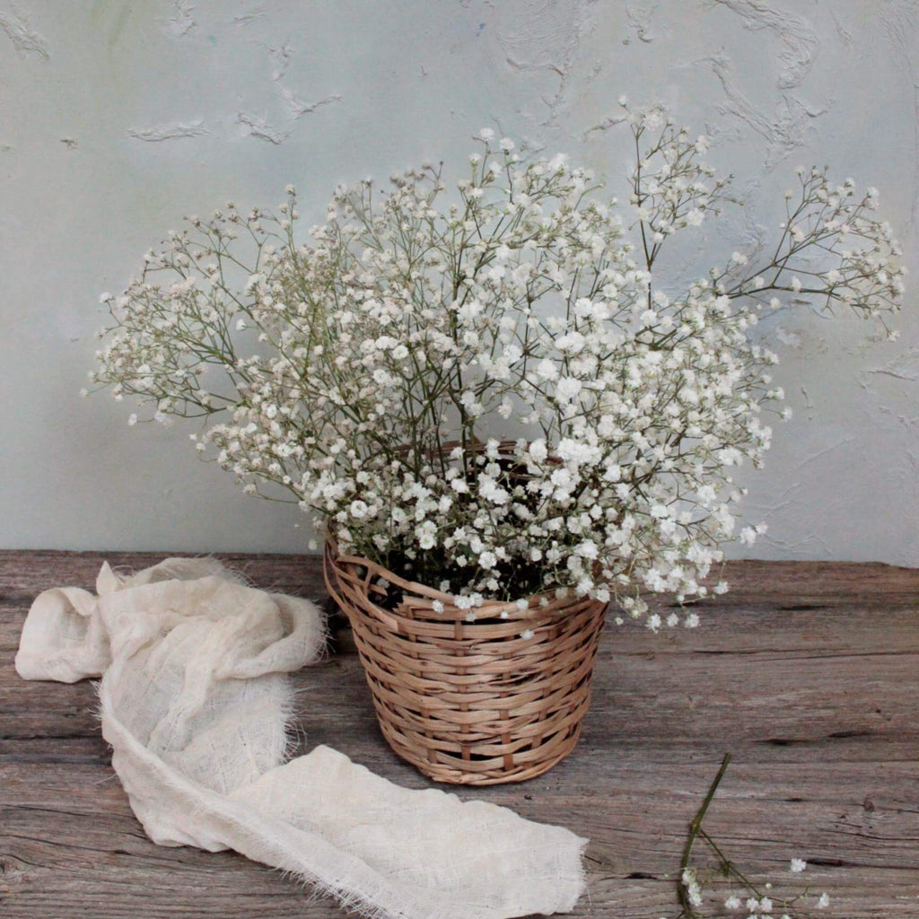 künstliches schleierkraut weiß Schleierkraut weiß – Annas Blumenpoesie
