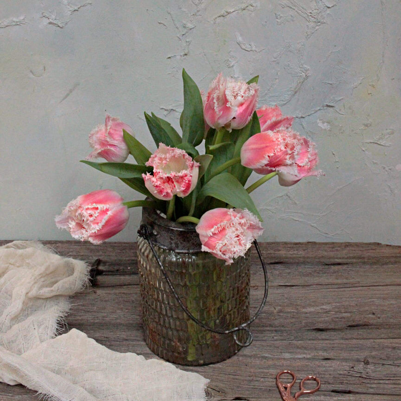 Tulpen gefranst- Schnittblumenbund
