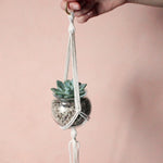 Pauli- Blumenampel mit Mini Succulente
