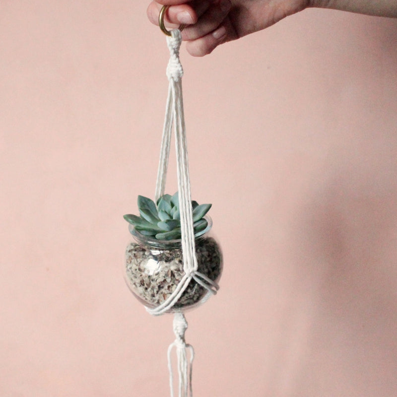 Pauli- Blumenampel mit Mini Succulente